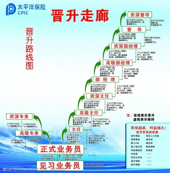 2024年年报点评：双主业表现亮眼海内外业务高速发展