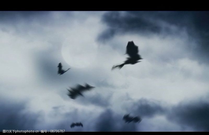 外国节日视频素材图片素材