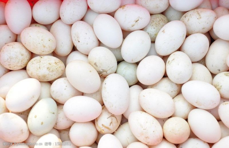 腌蛋图片素材