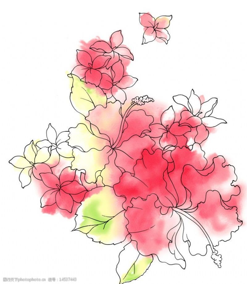 韩国精品花纹图片素材