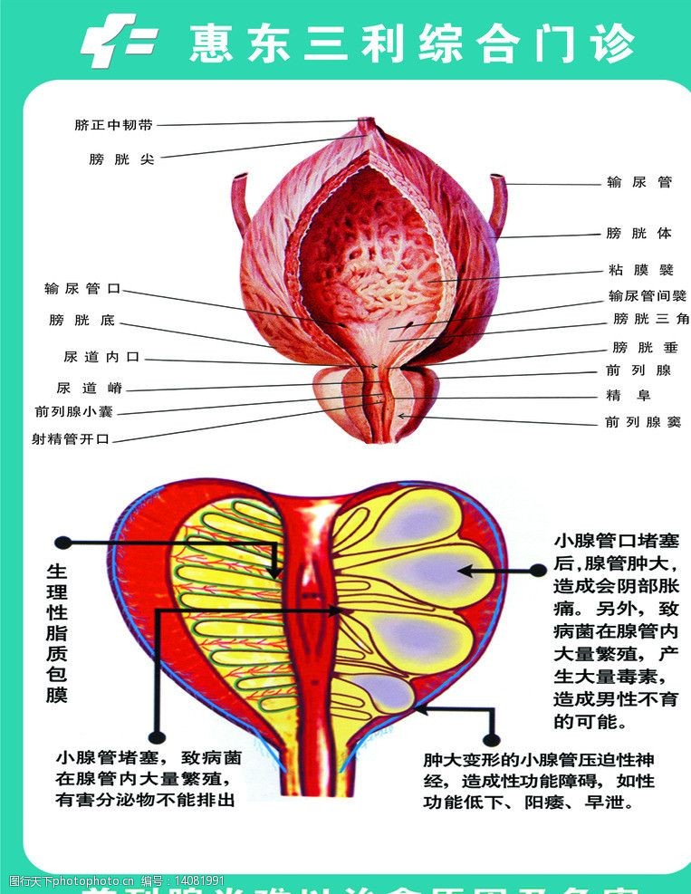 关注男性健康：专家建议有效应对前列腺肿大问题