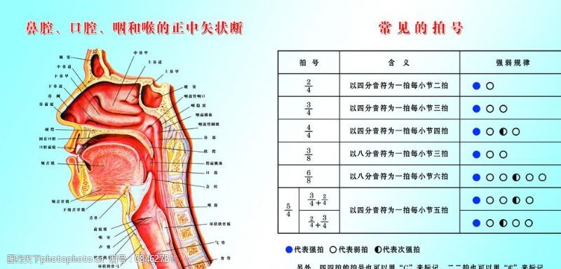 知识与发音图片素材