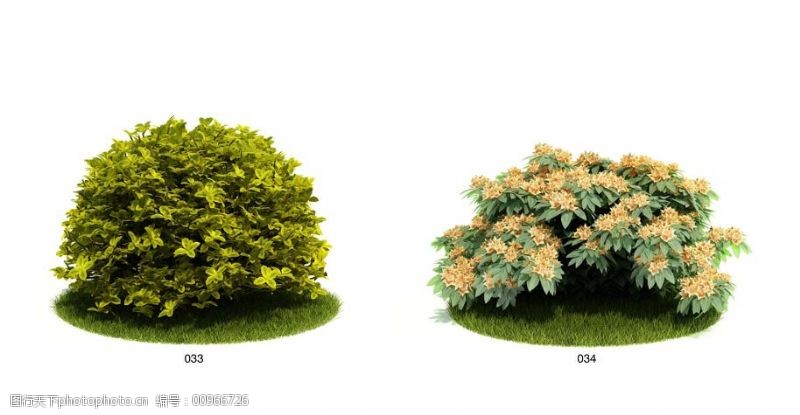 园林植物模型图片素材