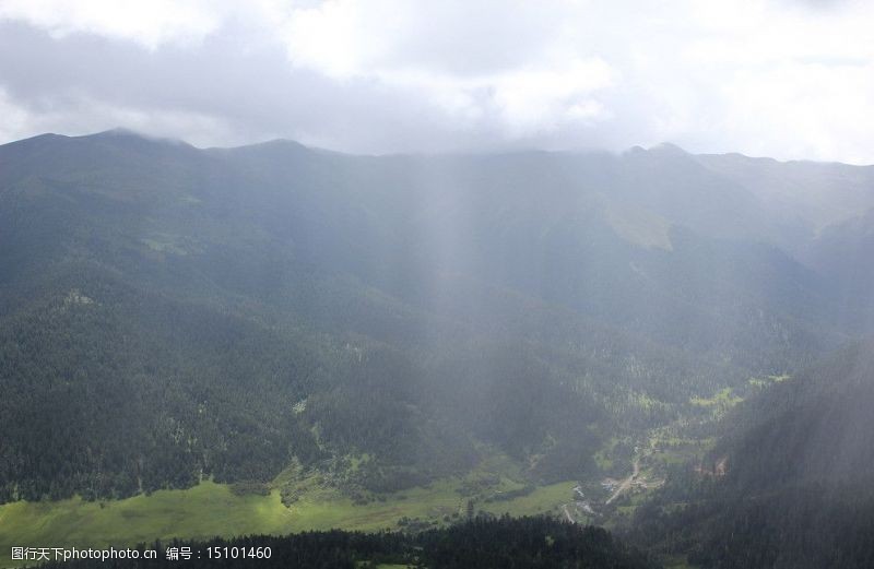 瑞士风光西藏鲁朗自然风光图片