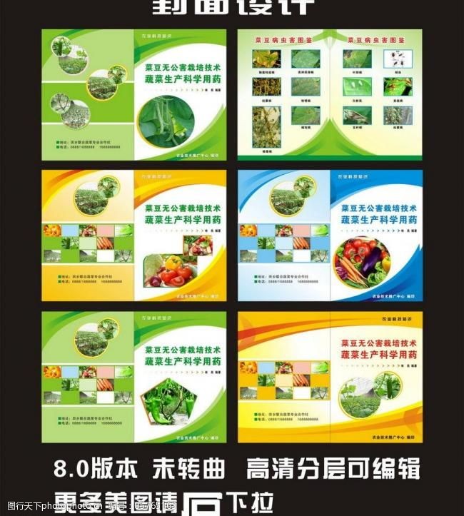 饮食传单样版蔬菜宣传单画册图片
