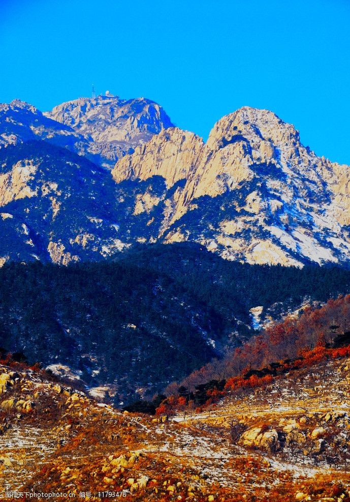 层次分明的森林层次分明的泰山雪景图片