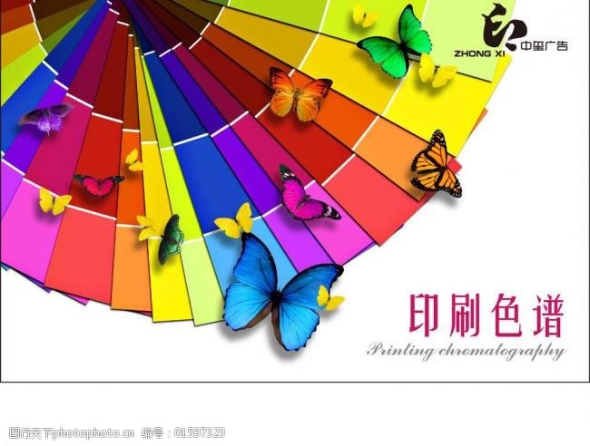 漂亮的蝴蝶彩色印刷色谱图片