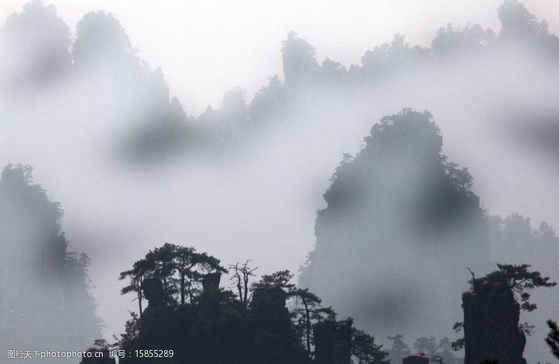 群山连绵迷雾森林图片