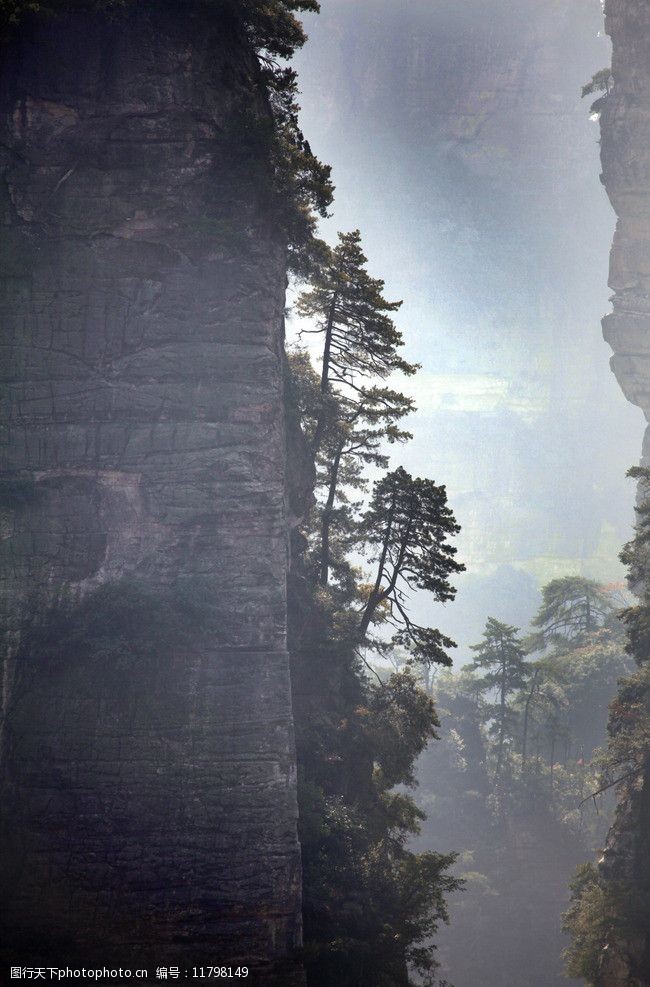 云雾缭绕陡峭山峰树剪影图片