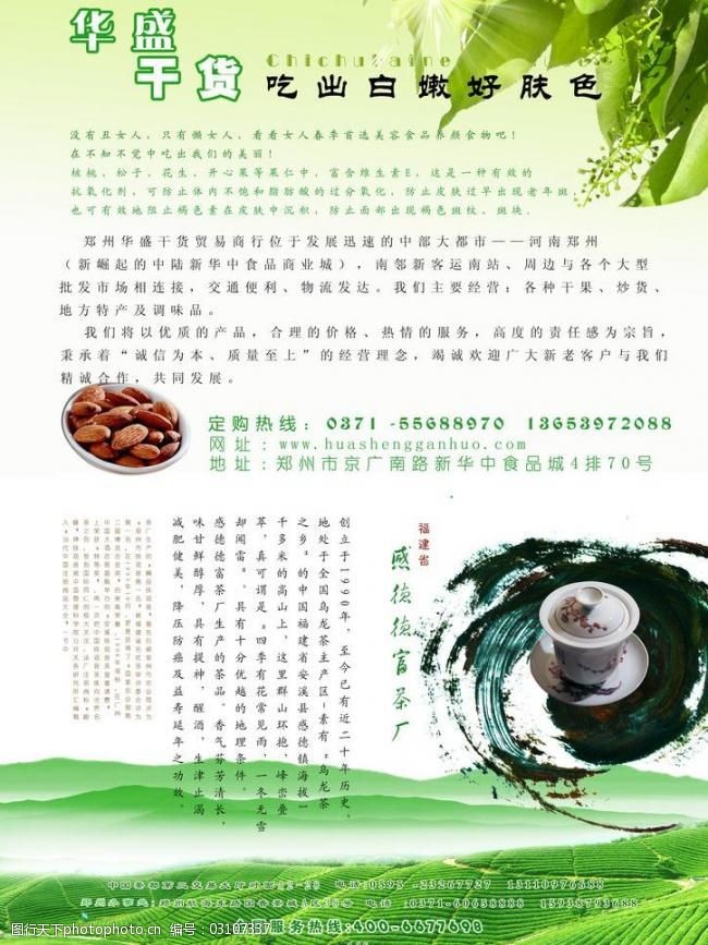 茶画册模板下载清新绿色茶设计彩页图片