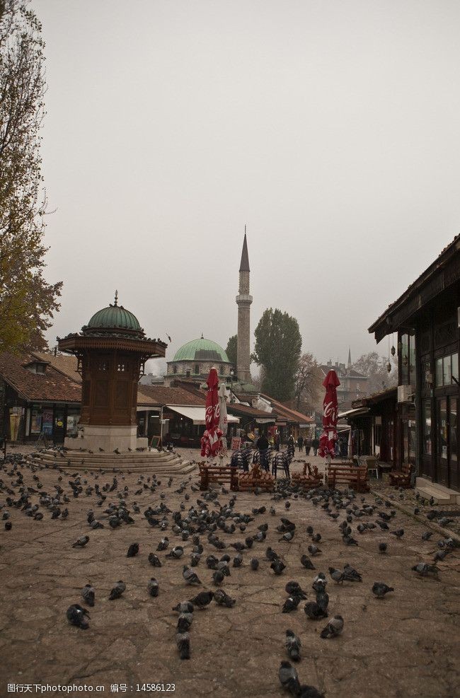 波塔斯萨拉热窝的鸽子广场图片