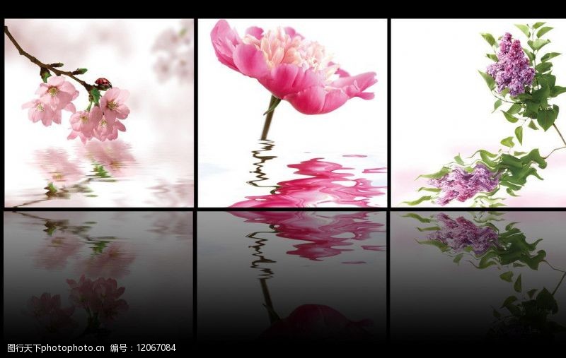 花朵倒影三联画图片