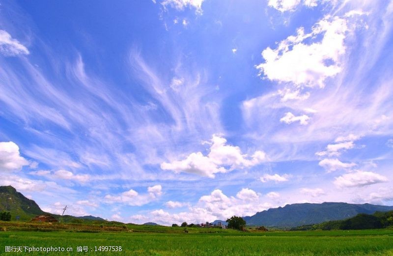 蓝天白云草地树木武夷山图片