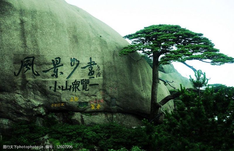 迎客松画黄山迎客松图片