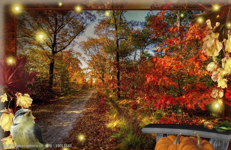 写真集秋天背景模板图片