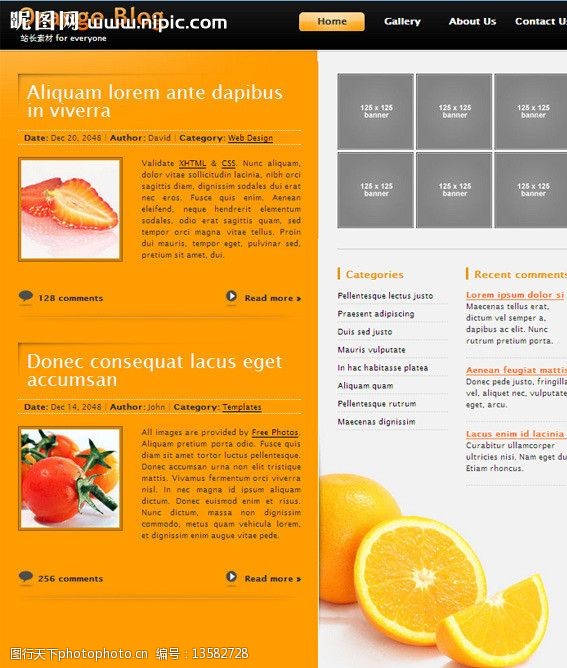 橙色英文橙色的博客网页模板图片