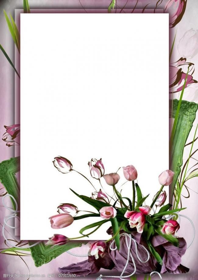 精美相册花卉框架模板图片