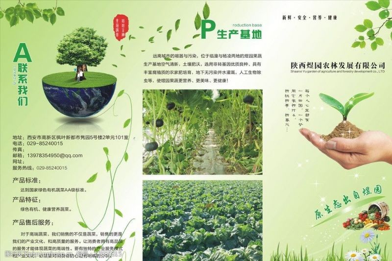 蔬菜三折页农产品三折页图片