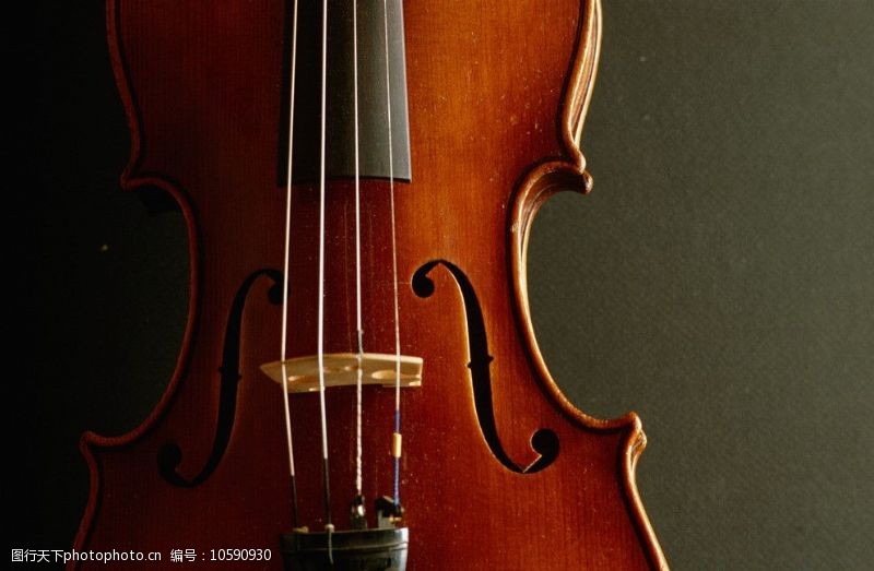 西洋乐器小提琴特写图片