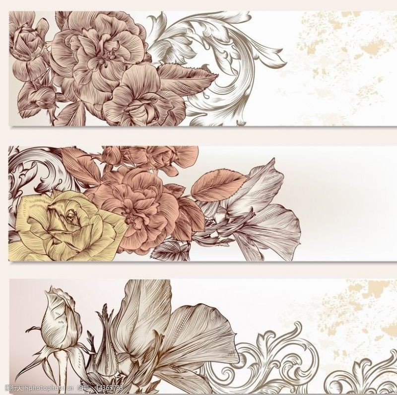 花纹花卉横幅欧式花纹横幅图片