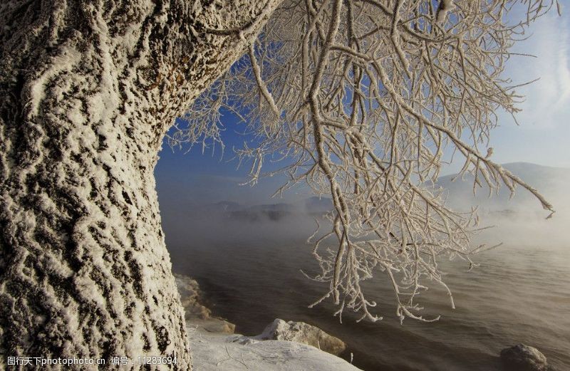 吉林雾凇图片