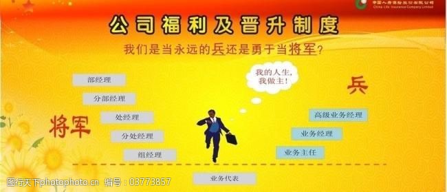 中国人寿模板下载晋升制度图片