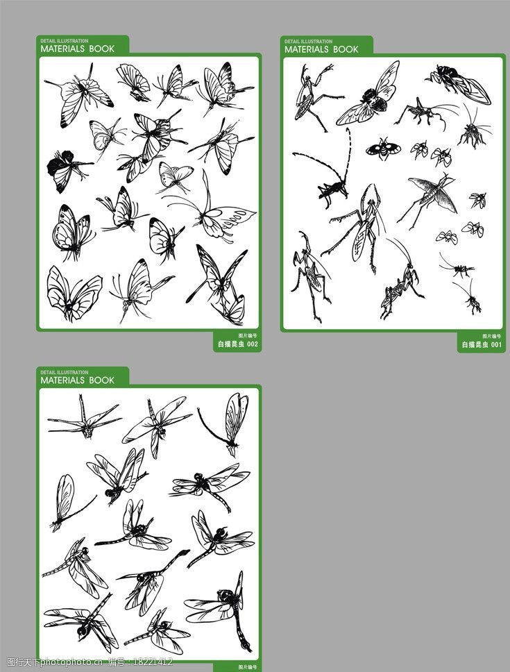 蜂蜜设计图白描昆虫图片