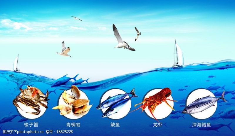 飞龙海产品海报图片