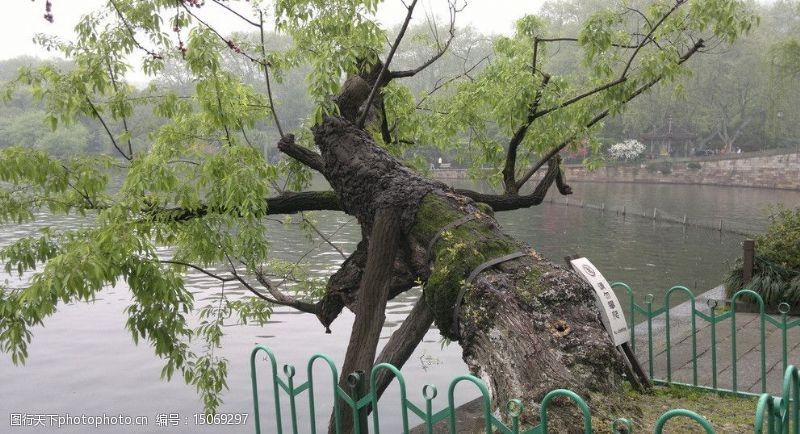 杭州西湖名胜春天风景图片