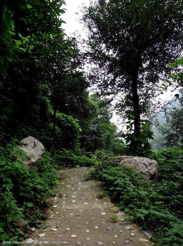 小间小路山间小路图片