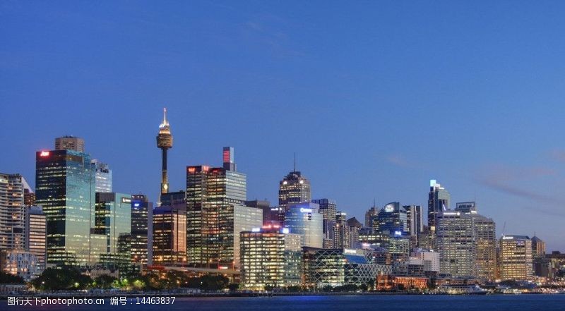 塔楼澳大利亚悉尼港商业区夜景图片