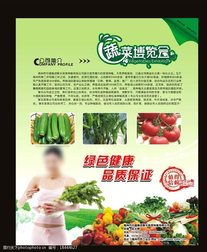 蔬菜三折页绿色美女蔬菜清新海报图片