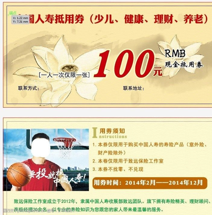 中国人寿模板下载中国人寿抵用券图片