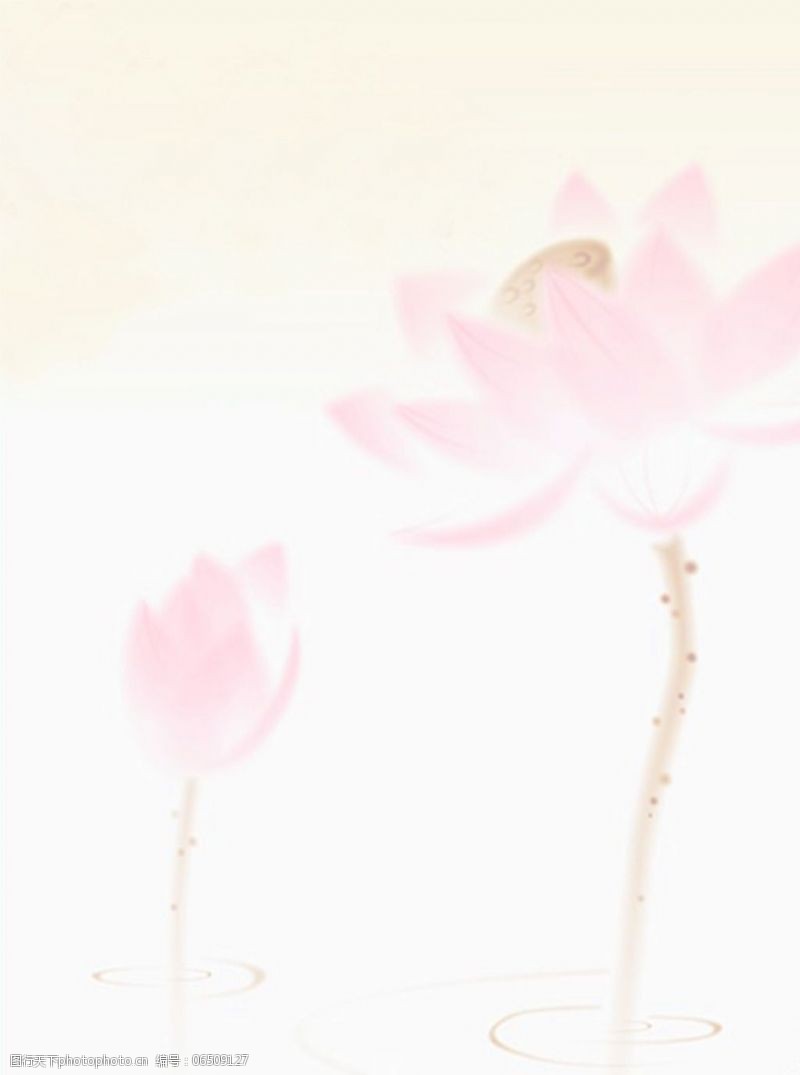 中国风素材下载粉色莲花中国风背景图