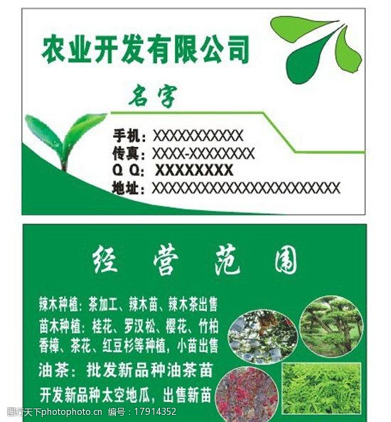 茶农农业开发图片