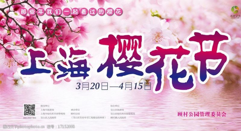 樱花公园上海樱花节图片