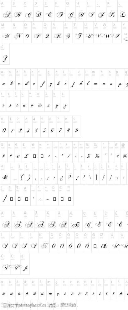 设计必备字字体