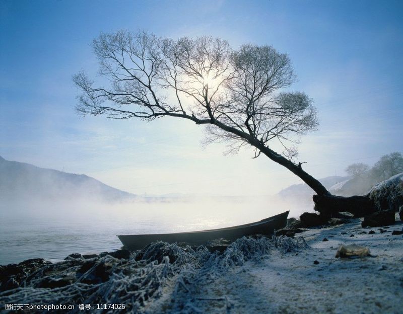 吉林风景晨曦时的雾图片