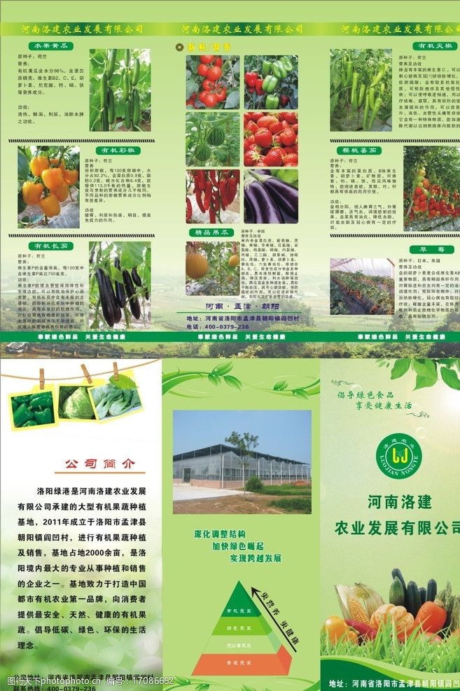 吊塔蔬菜彩面三折页图片