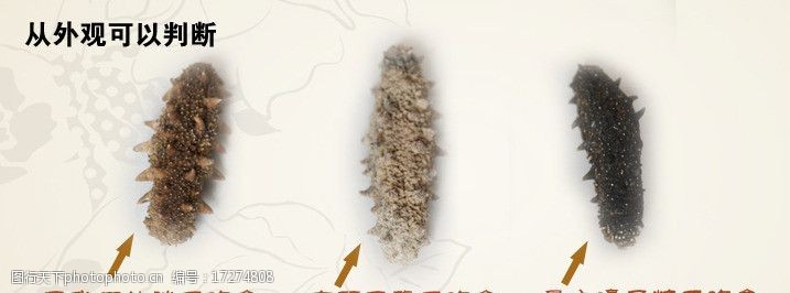 主食类海参淘宝海报图片