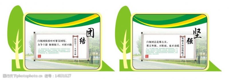 杨颖校园白杨文化励志展板图片