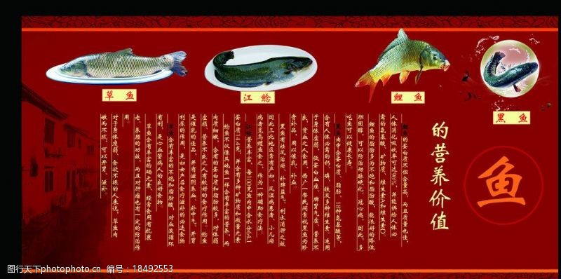 草鱼鱼的营养价值图片