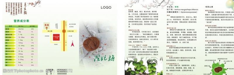 企业画册子梅子折页图片