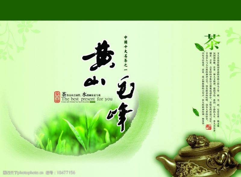 嫩绿背景黄山毛峰茶图片