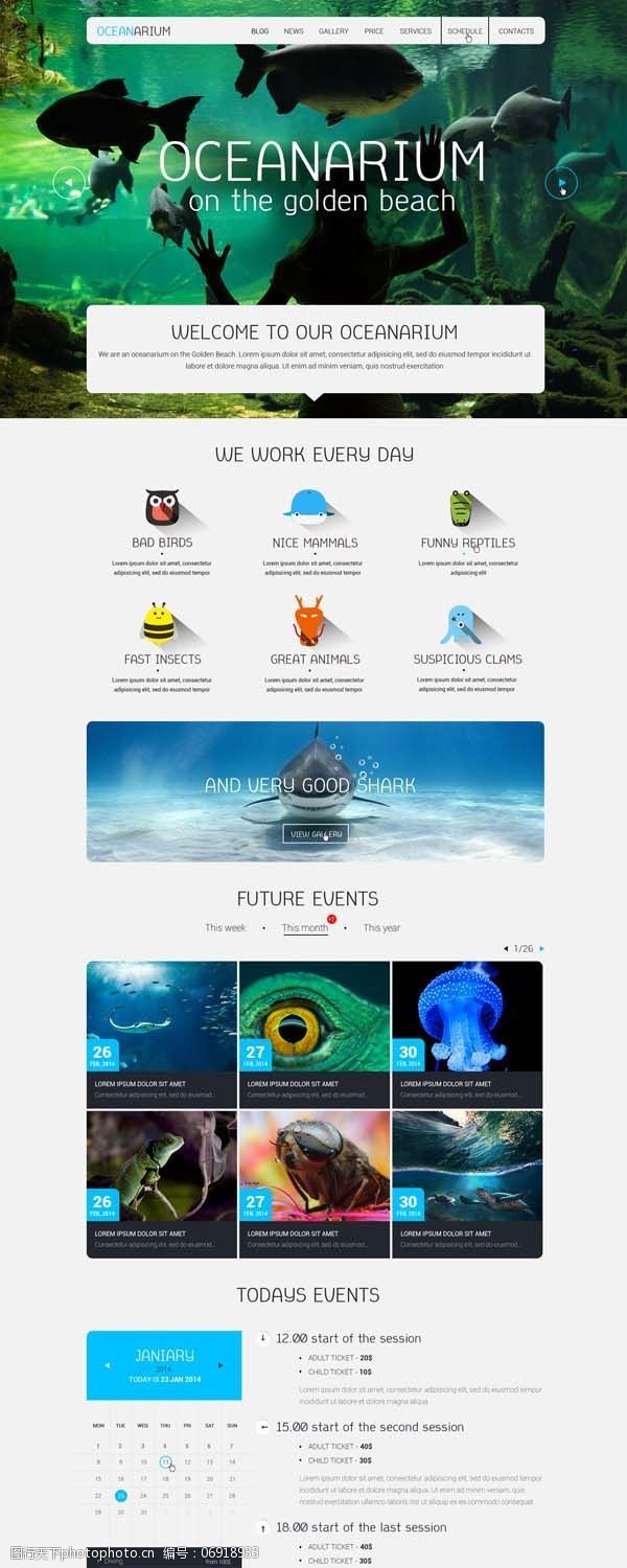 圆形海洋免费下载海洋馆网站模板