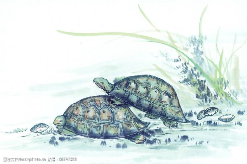 中国风素材下载水墨画海龟背景图