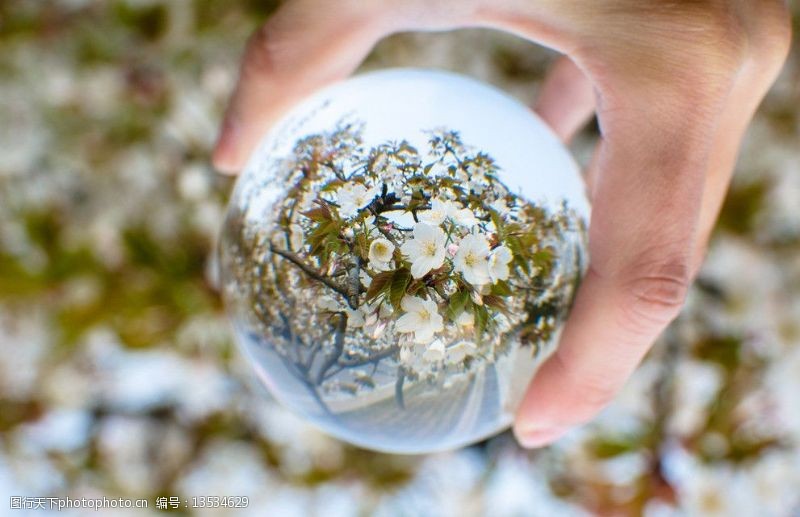 水晶球镜像春天图片