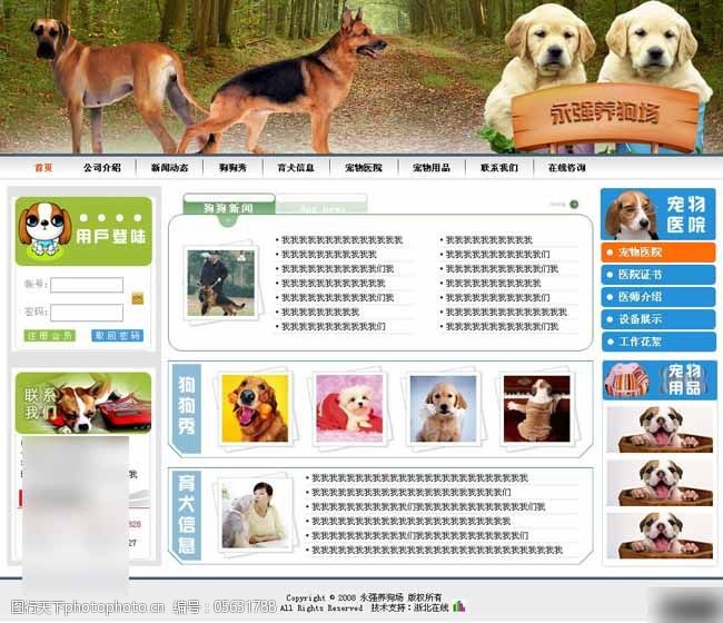中国宠物网宠物狗公司信息网页模板