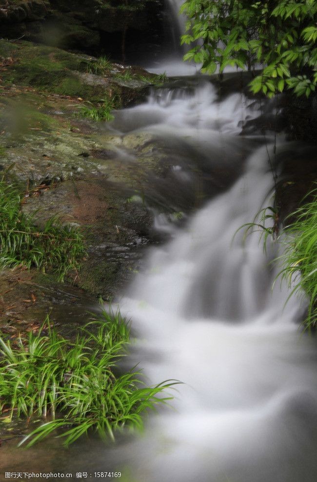 春天山流水图片