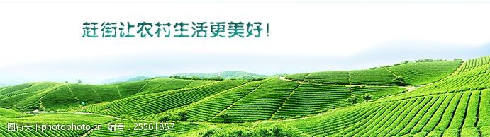 绿色农业农业banner